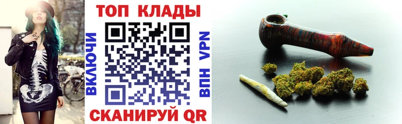 Галлюциногенные грибы Шенкурск
