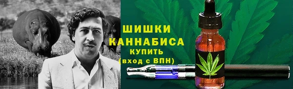прущие грибы Абдулино