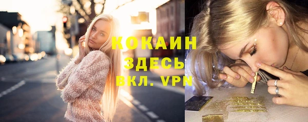 прущие грибы Абдулино