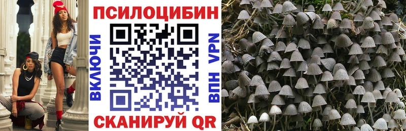 цены наркотик  Шенкурск  Галлюциногенные грибы прущие грибы 
