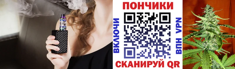 купить наркоту  Шенкурск  Канабис планчик 